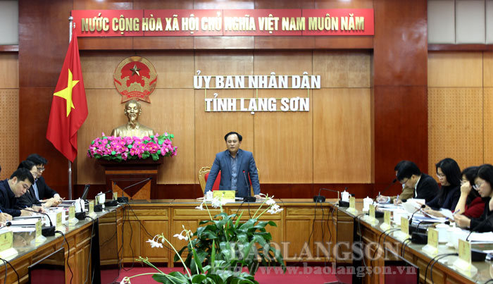 Đồng chí Lương Trọng Quỳnh, Phó Chủ tịch UBND tỉnh phát biểu chỉ đạo tại cuộc họp