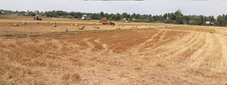 Cuộc tổng điều tra nhằm tính toán chỉ tiêu tổng sản phẩm trên địa bàn tỉnh